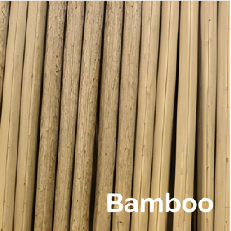 Bamboo